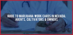 Guide To Marijuana Work Cards In NV Agents Cultivators Owners