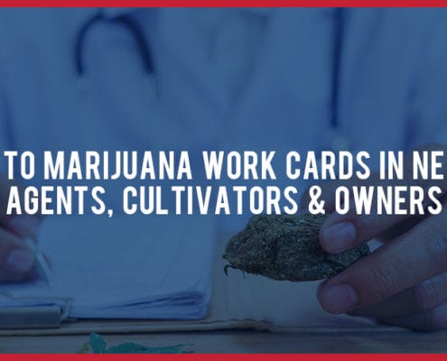Guide To Marijuana Work Cards In NV Agents Cultivators Owners